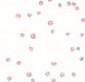 ARHGAP18 Antibody (C-Terminus)